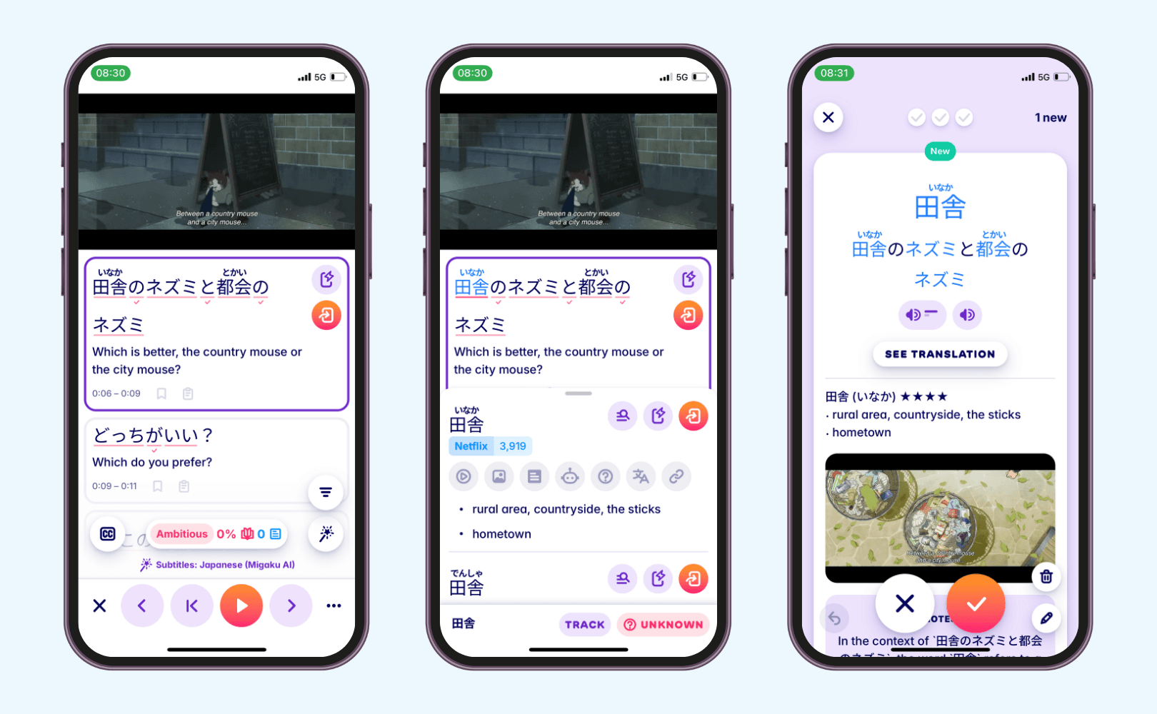 Study Japanese with Migaku