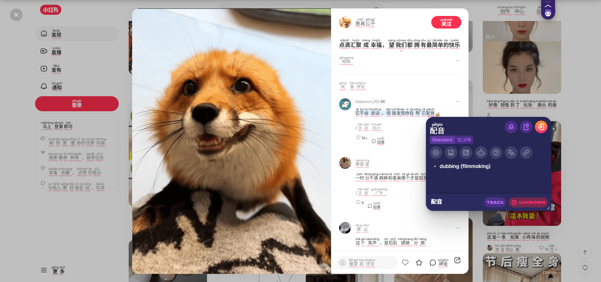 master chinese with migaku browser extension