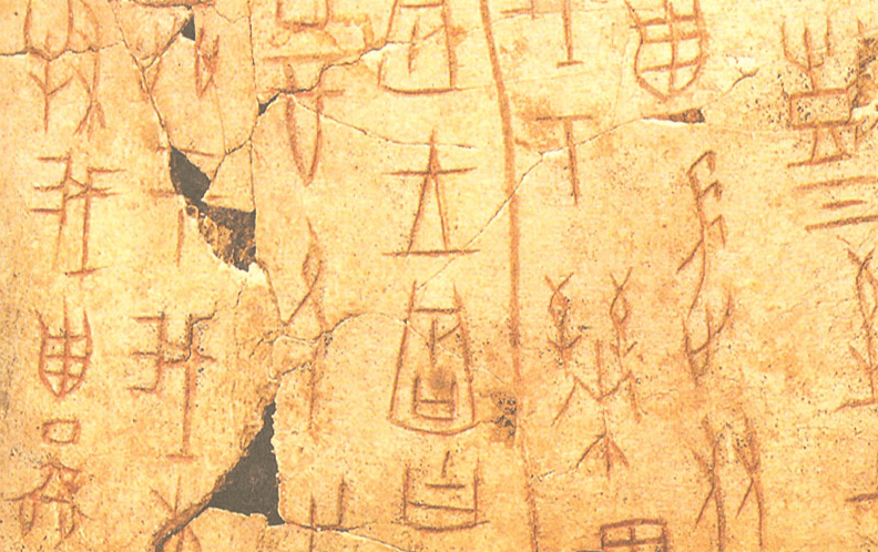 oracle bones