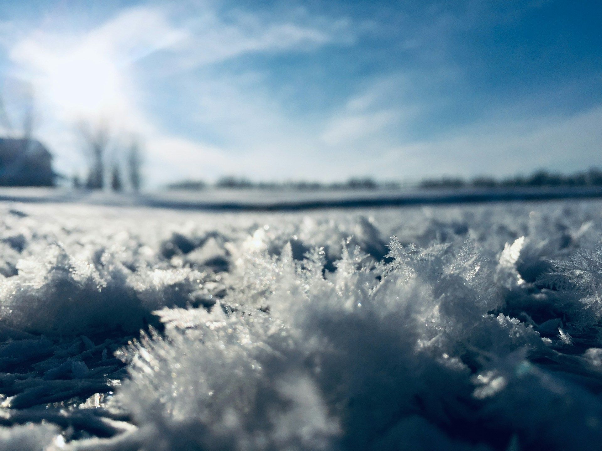 A depiction of kazahana, literally 'wind flower', a Japanese word referring to snow that falls on a sunny day