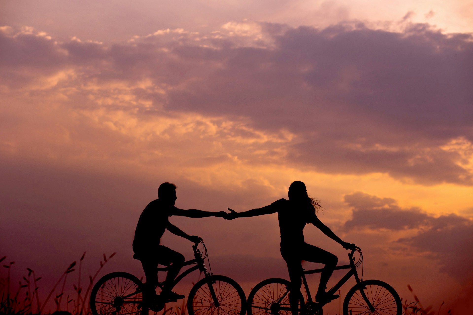 Two people riding a bike into the sunset, reaching out to grab each other's hand—perhaps the moment when they first realized that love might be a possibility; in Japanese, a situation represented by the phrase 'koi no yokan'